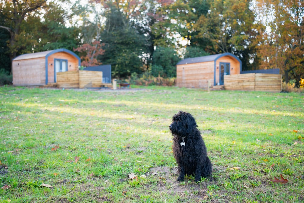 A Glamping Business Case Study From Glampitect for Mount Ephraim Glamping